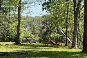 stfsa images (17)