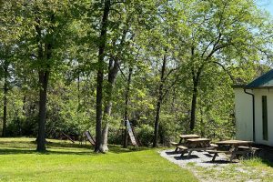 stfsa images (19)